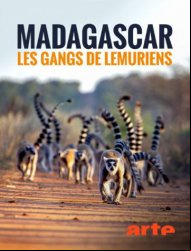 Madagascar : les gangs de lémuriens Saison 1